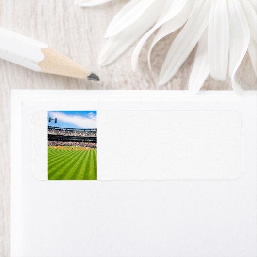 Baseball Postage Address Thingy (Insitu)