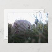 Baseball-Postkarte Postkarte (Vorne/Hinten)