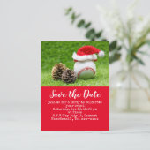 Baseball Save the Date für Weihnachts-Party Postca Postkarte (Stehend Vorderseite)