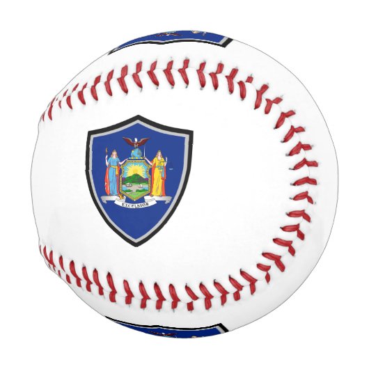 Baseball-Schildkröte des New Yorker Staat Baseball (Vorne Rechts)