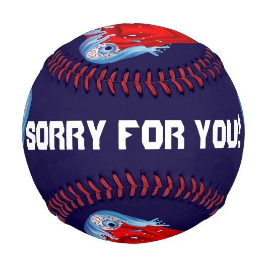 BaseBall sorry for you!Fundraiser Beschreibung (Rückseite)