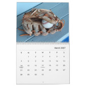 Baseball-Wall-Kalender Kalender (Mär 2027)