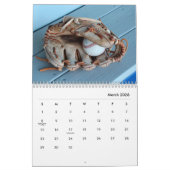 Baseball-Wall-Kalender Kalender (Mär 2026)