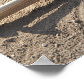 Baseballhandschuh, Bälle, Fledermäuse und Baseball Poster (Ecke)