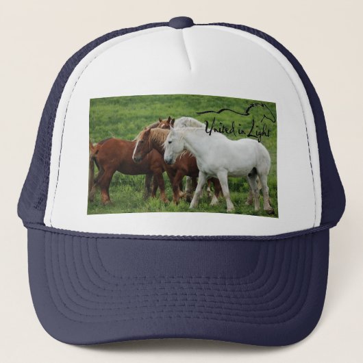 Baseballmütze Truckerkappe (Vorderseite)