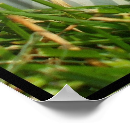 Baseballplakat Poster (Ecke)