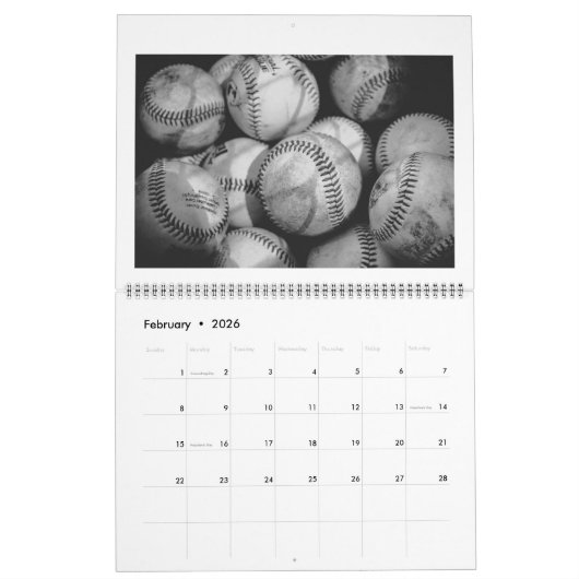 Baseballs in Schwarz und Weiß Kalender (Feb 2026)