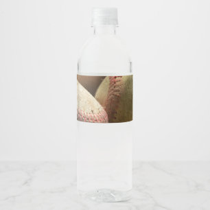 Baseballs und Handschuh Wasserflaschenetikett
