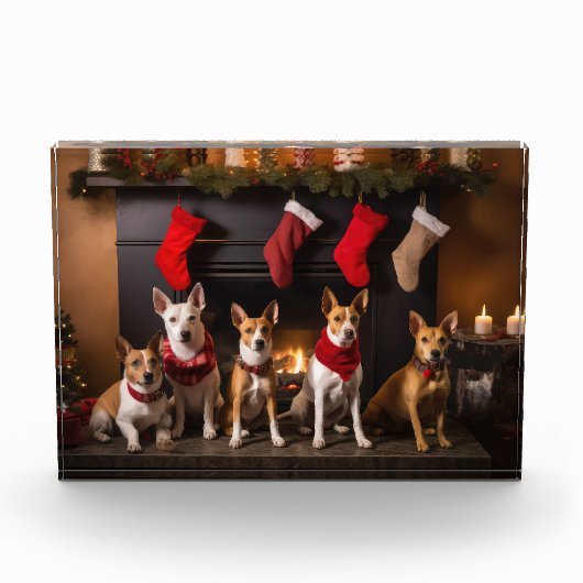 Basenji an der Weihnachtsfeier am Feuerplatz Fotoblock (Vorderseite)