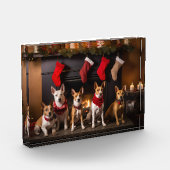 Basenji an der Weihnachtsfeier am Feuerplatz Fotoblock (Links)