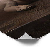 Basenji an der Weihnachtsfeier am Feuerplatz Poster (Ecke)