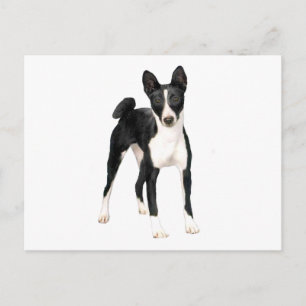 Basenji (B) - schwarz und weiß Postkarte