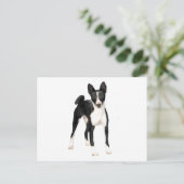 Basenji (B) - schwarz-weiß Postkarte (Stehend Vorderseite)