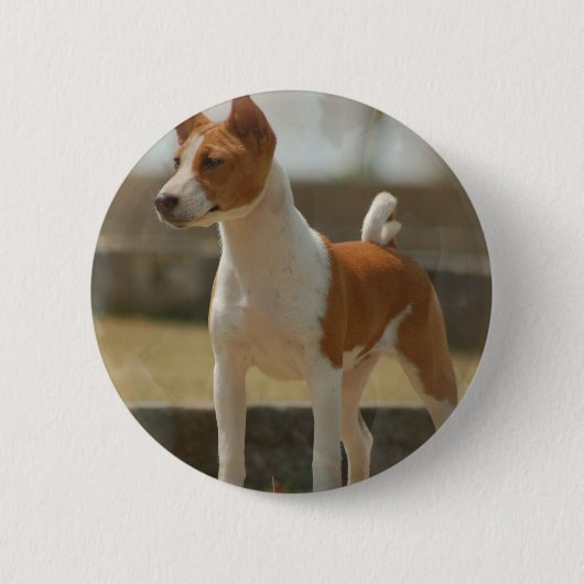 Basenji Button (Vorderseite)