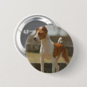 Basenji Button (Vorne & Hinten)