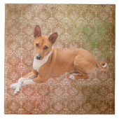 Basenji Dog  Fliese (Vorderseite)