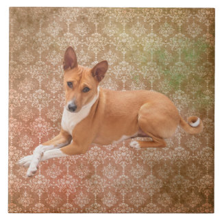 Basenji Dog  Fliese