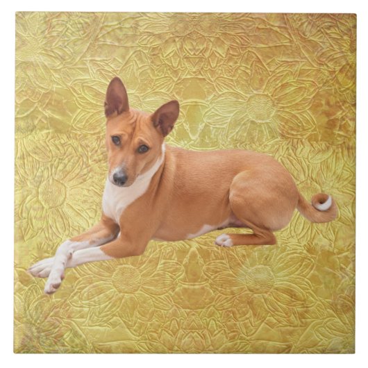 Basenji Dog  Fliese (Vorderseite)
