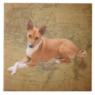 Basenji Dog  Fliese