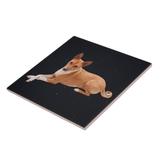 Basenji Dog  Fliese (Seite)