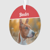 Basenji Dog Holiday Weihnachts-Foto Ornament (Vorderseite)