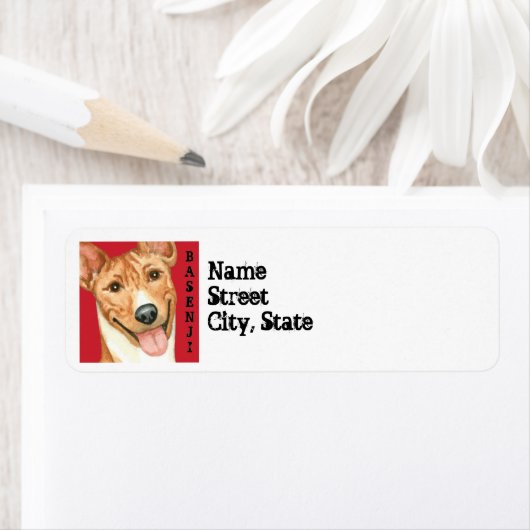 Basenji-Farbblock (Insitu)