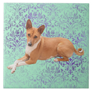 Basenji-Hund  Fliese