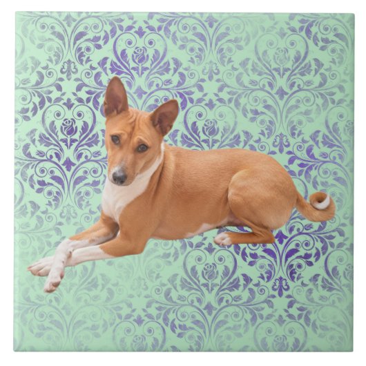Basenji-Hund Fliese (Vorderseite)