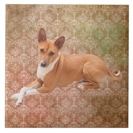 Basenji-Hund Fliese (Vorderseite)