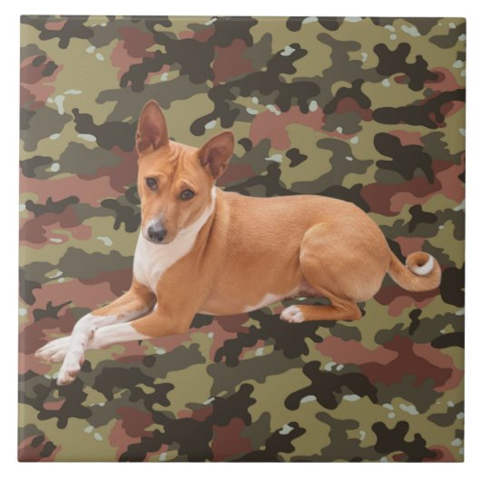 Basenji-Hund Fliese (Vorderseite)