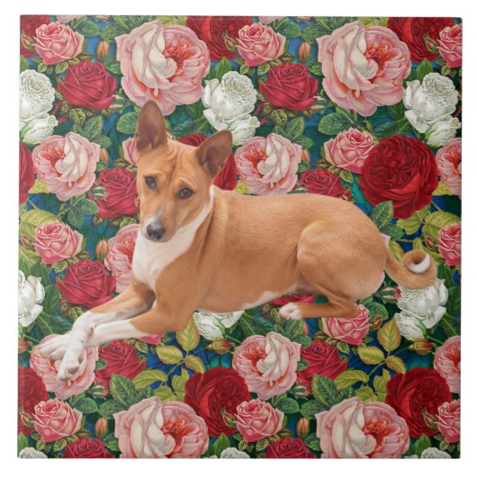 Basenji-Hund Fliese (Vorderseite)