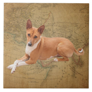 Basenji-Hund Fliese