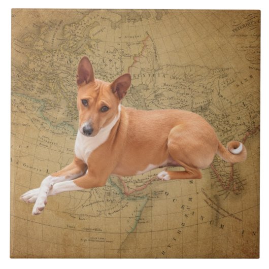 Basenji-Hund Fliese (Vorderseite)