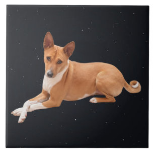 Basenji-Hund  Fliese