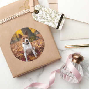Basenji im Herbst inspiriert fallende Blätter Runder Aufkleber