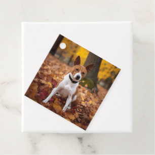 Basenji im Herbst Leaves Fall Inspiriert Geschenkanhänger