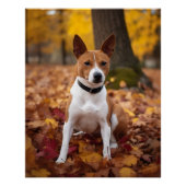 Basenji im Herbst Leaves Fall Inspiriert Poster (Vorderseite)
