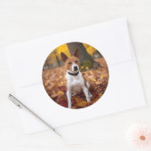 Basenji im Herbst Leaves Fall Inspiriert Runder Aufkleber (Umschlag)