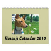 Basenji Kalender 2010 (Titelbild)