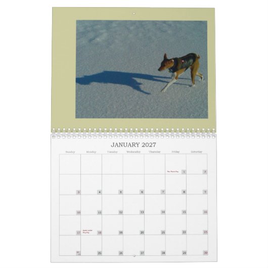 Basenji Kalender 2010 (Jan 2027)