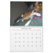 Basenji Kalender 2010 (Feb 2026)