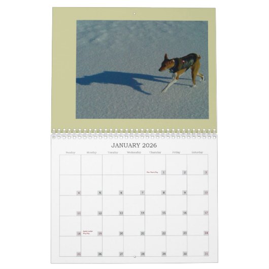 Basenji Kalender 2010 (Jan 2026)