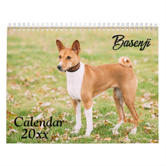 Basenji-Kalender 2026 Kalender (Titelbild)