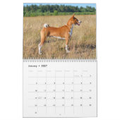 Basenji-Kalender 2026 Kalender (Jan 2027)