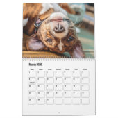 Basenji-Kalender Kalender (Mär 2026)
