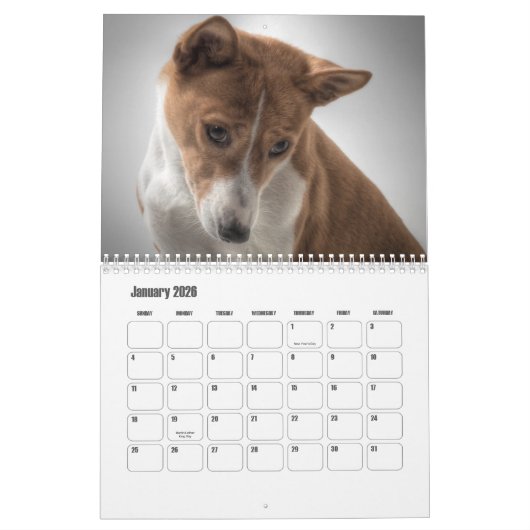 Basenji-Kalender Kalender (Jan 2026)