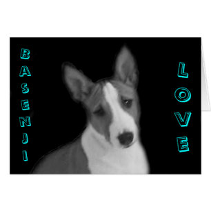 Basenji-Liebe