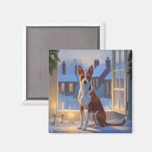 Basenji mit Weihnachtslichtern Urlaub Magnet (Vorderseite/Rückseite)