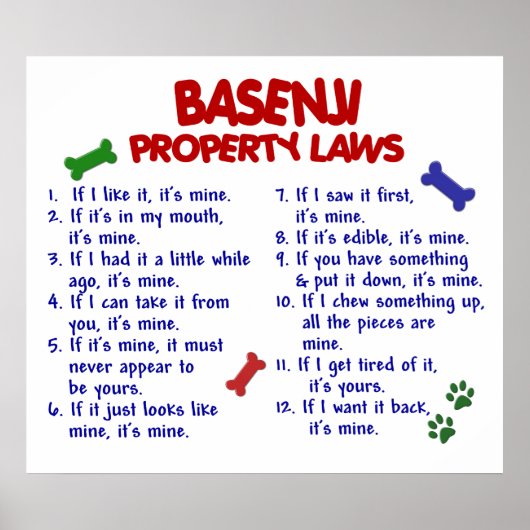 BASENJI PL2 POSTER (Vorne)