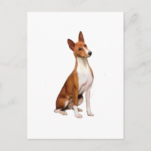 Basenji Postkarte (Vorderseite)